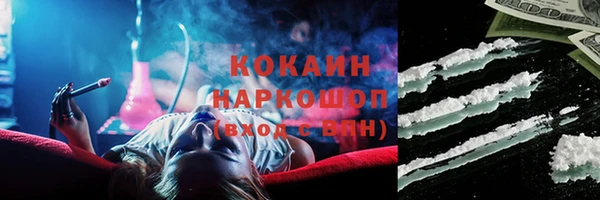 apvp Новозыбков