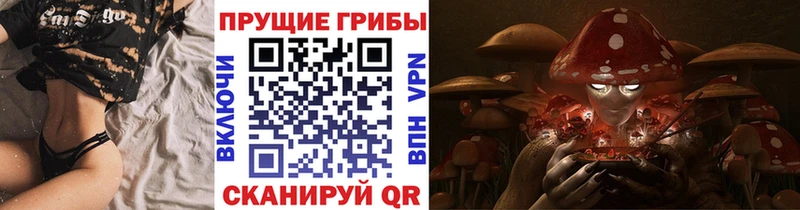где можно купить Сухиничи MEGA ONION Псилоцибиновые грибы Psilocybe